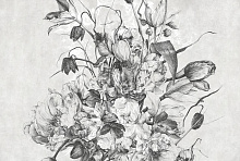 Фотообои пионы Factura TULIP TULIP 1