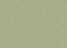 Зелёные обои для стен Grandeco Hype HY 1013